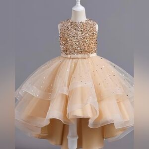 Gold Sequin Tulle Dress  Brand New For 4,5,6,7 and 8 Year